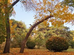 -元大都城垣遗址公园