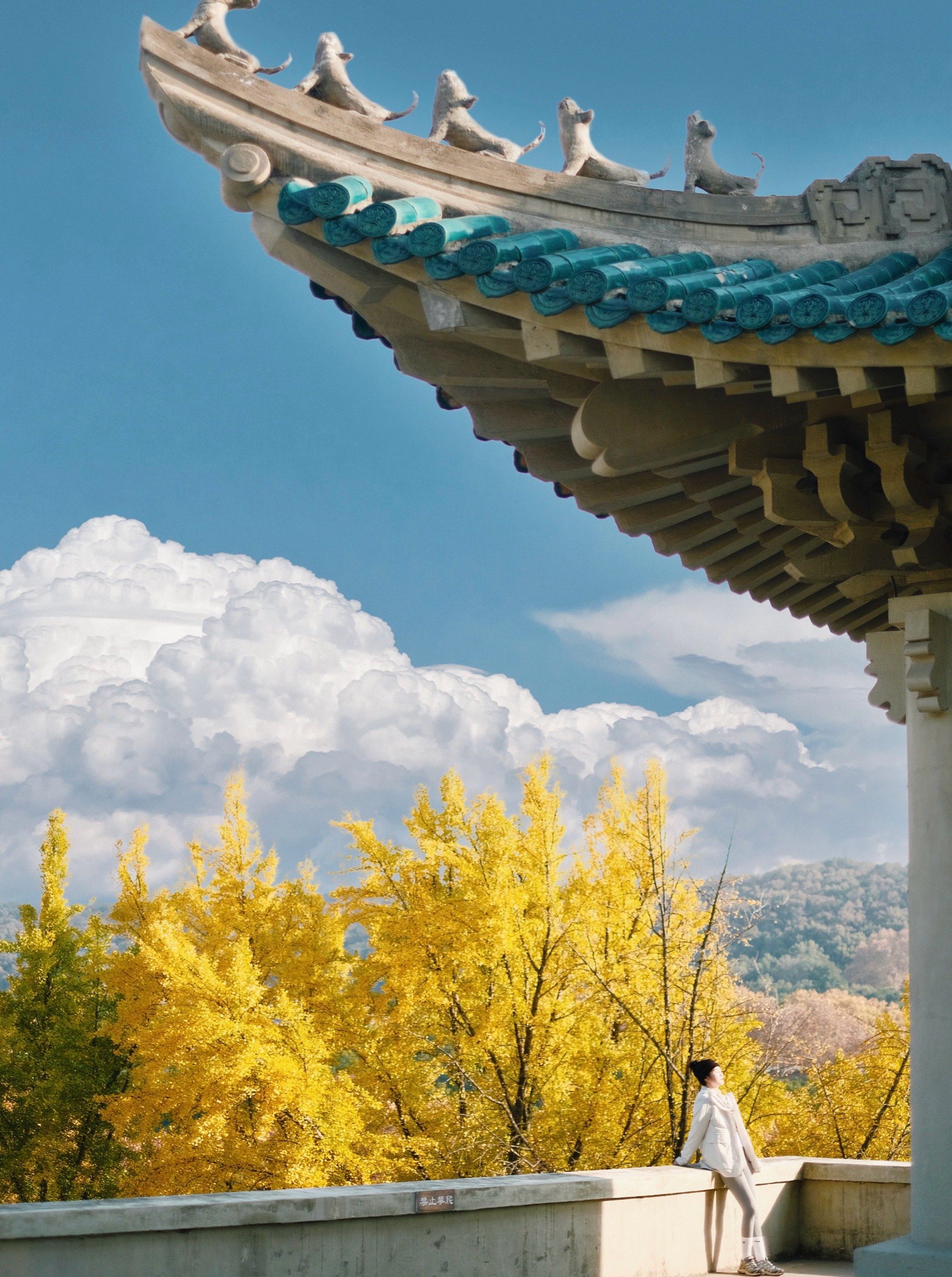 老斋舍的秋啊 错过只好等一年了