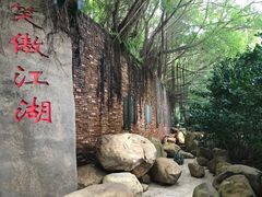 -雁南飞茶田景区