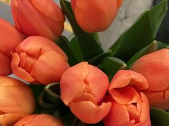 -渝乡辣婆婆·川菜 水煮鱼(中山西路店)