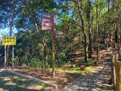 -梧桐山风景名胜区