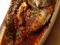 -八府香鸭·啫啫煲(华山路店)