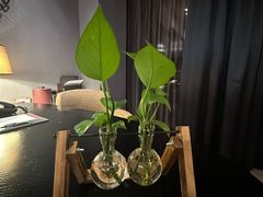 -南京禄口机场雅高铂尔曼大酒店