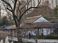 -上海醉白池公园