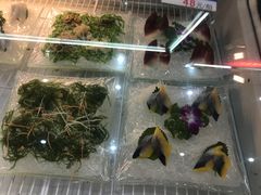 -联邦酒楼