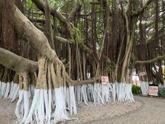 -胡里山炮台