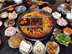 -肥龙火锅(南坪店)