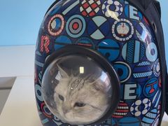 -瑞派福兴宠物医院犬猫全科·骨科·中西医结合(河东店)