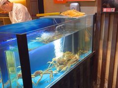 -千代武日本料理(爱建店)