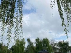 -北湖公园