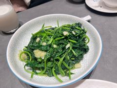 清炒苕尖-俏立方·15年新楚菜