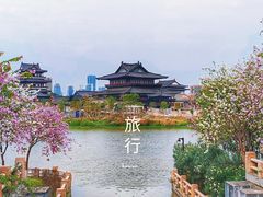 -海珠湖公园