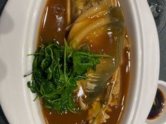 -沈灶河豚宴·河豚融合餐厅(汉中路店)
