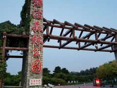 -塘沽森林公园