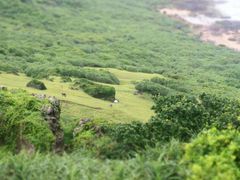 -鹅銮鼻公园