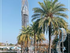 -五谷芳乳鸽王(海景店)