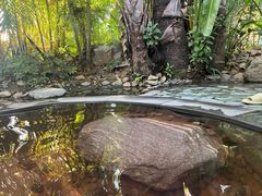 -碧桂园润杨溪谷温泉酒店