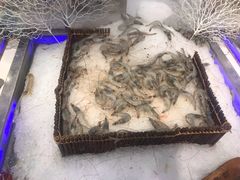 -圣罗巴海鲜烤肉自助(鲅鱼圈万达店)