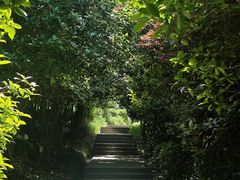 -巢湖姥山岛
