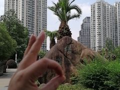 -苏州河梦清园环保主题公园