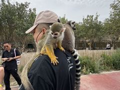 -水上乐园·欢乐世界