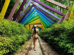 -合肥滨湖国家森林公园