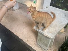 -广州兰圃