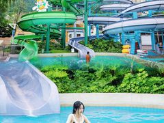 -重庆海昌加勒比海水世界