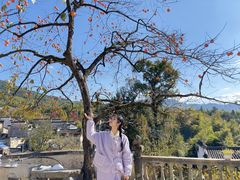 -塔川景区