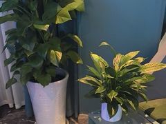 -青春足迹·概念店·小憩足疗SPA
