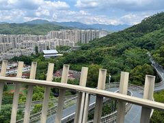 -福道