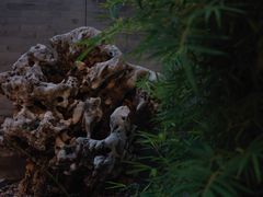 -北京古城老院厉晓麟精致菜