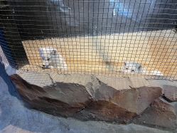 -酷嗒动物文化乐园(cutezoo西溪乐天城店)