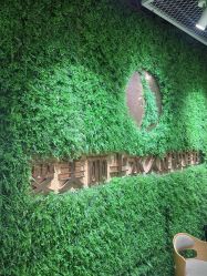 -变美丽半永久纹眉连锁·机器野生眉•洗眉