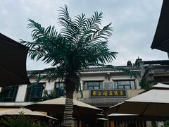-都江堰石锅鱼