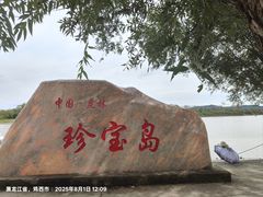 -珍宝岛