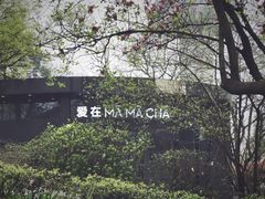 -MAMACHA妈妈茶(岳麓山店)