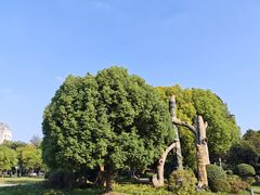 -云龙湖旅游景区