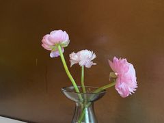 -拾久(朝阳公园店)