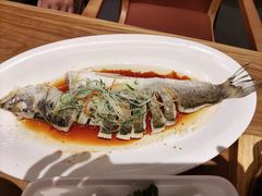 清蒸皖鱼-顺风汤馆·广府粤菜(江宸天街店)