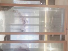 -尽膳·鱼鲜川菜(宽窄巷子店)