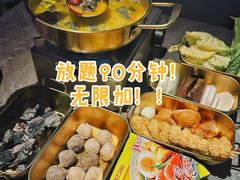 -Darling Queen·Mini·Live·House