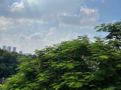 -荔湾博物馆