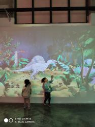 点击看大图 -恐龙探索乐园(磁器口店)