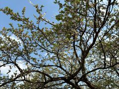 -名花谷生态庄园