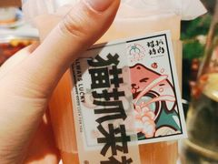 -猫抓烤肉(春熙路店)