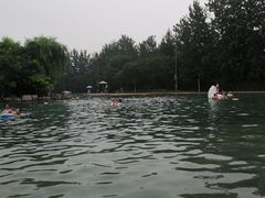 -柳浪游泳场