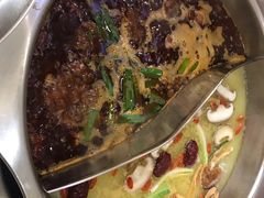 -冯鱼头火锅(青蓝山美食一条街店)