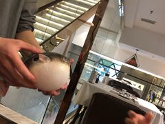 -肆月河豚·新淮扬(金融街店)