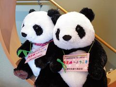 -伊豆荣(不忍亭店)